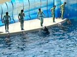 新江ノ島水族館に投稿された画像（2024/4/27）