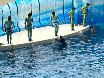 新江ノ島水族館に投稿された画像（2024/4/27）