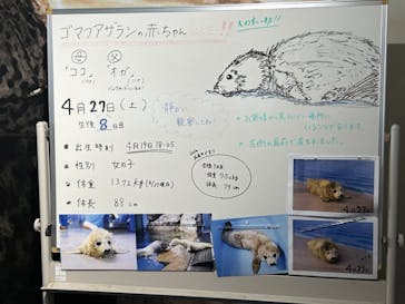 新江ノ島水族館に投稿された画像（2024/4/27）
