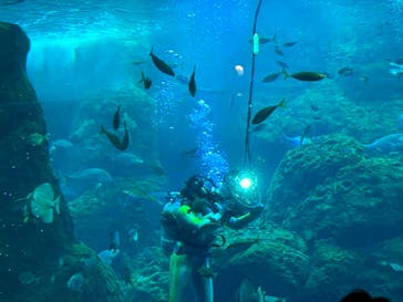 新江ノ島水族館に投稿された画像（2024/4/27）