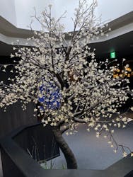 三田天然温泉　寿ノ湯に投稿された画像（2024/4/27）