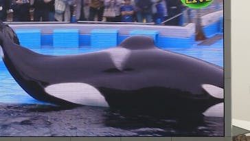 名古屋港水族館に投稿された画像（2024/4/27）