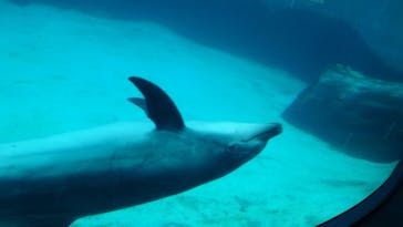 名古屋港水族館に投稿された画像（2024/4/27）