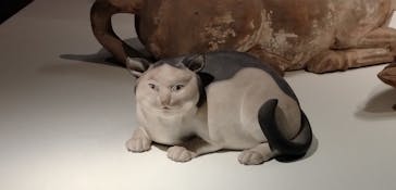 特別展「法然と極楽浄土」東京国立博物館 平成館に投稿された画像（2024/4/27）