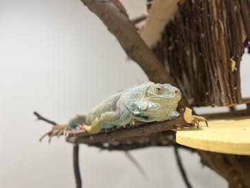 アニタッチアクアシティお台場に投稿された画像（2024/4/27）