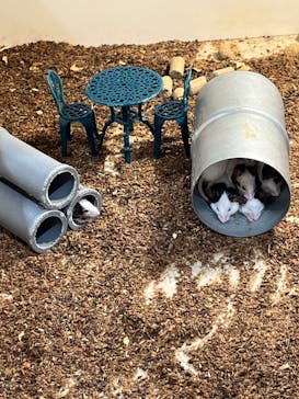 アニタッチアクアシティお台場に投稿された画像（2024/4/27）