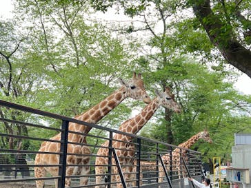 宇都宮動物園に投稿された画像（2024/4/27）