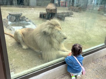 宇都宮動物園に投稿された画像（2024/4/27）