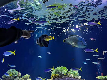 マリンワールド海の中道に投稿された画像（2024/4/27）