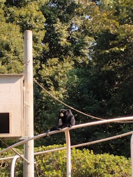 千葉市動物公園に投稿された画像（2024/4/27）