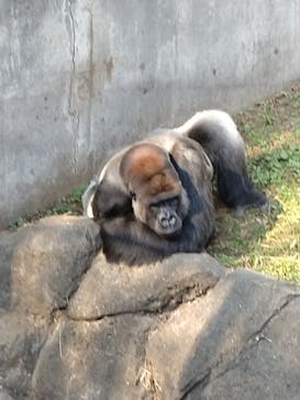 千葉市動物公園に投稿された画像（2024/4/27）