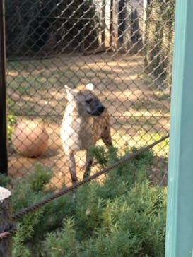 千葉市動物公園に投稿された画像（2024/4/27）