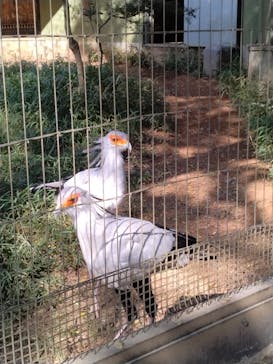 千葉市動物公園に投稿された画像（2024/4/27）