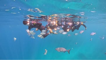 武藤潜水に投稿された画像（2024/4/27）