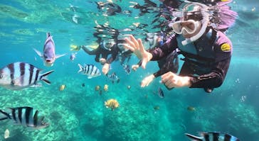 武藤潜水に投稿された画像（2024/4/27）