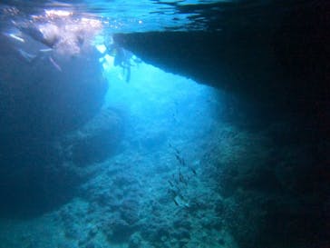 武藤潜水に投稿された画像（2024/4/27）