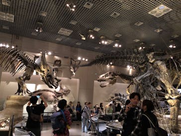 特別展「大哺乳類展３－わけてつなげて大行進」に投稿された画像（2024/4/27）