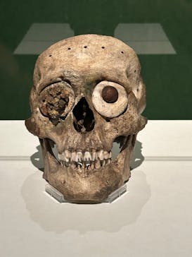 特別展「古代メキシコ ーマヤ、アステカ、テオティワカン」に投稿された画像（2024/4/27）