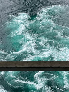 徳島県立 渦の道に投稿された画像（2024/4/27）