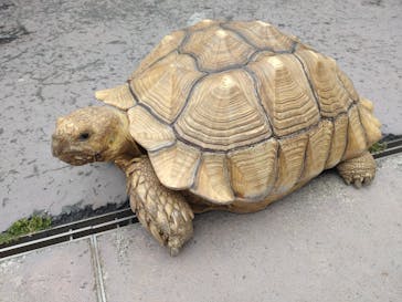 横浜・八景島シーパラダイスに投稿された画像（2024/4/27）