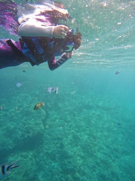 沖縄マリンサービス碧に投稿された画像（2024/4/27）