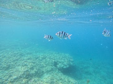 沖縄マリンサービス碧に投稿された画像（2024/4/27）