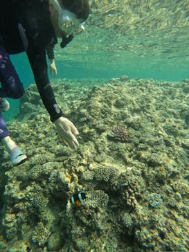 沖縄マリンサービス碧に投稿された画像（2024/4/27）