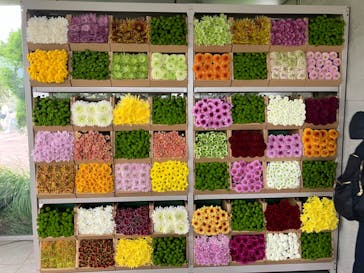 浜名湖花博2024に投稿された画像（2024/4/27）