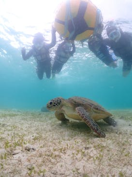 初心者専門宮古島シュノーケリングツアーに投稿された画像（2024/4/27）