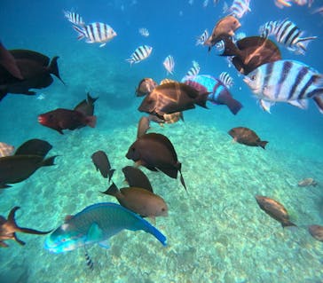 沖縄マリンサービス碧に投稿された画像（2024/4/27）