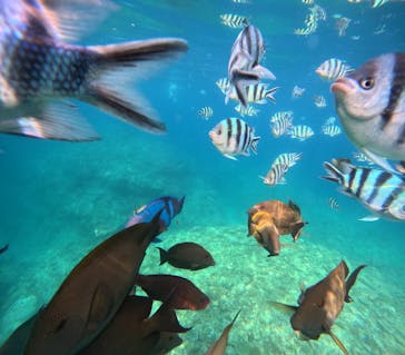 沖縄マリンサービス碧に投稿された画像（2024/4/27）