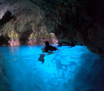 沖縄マリンサービス碧に投稿された画像（2024/4/27）