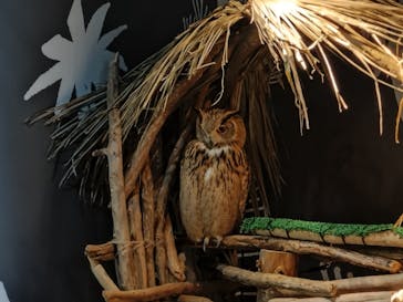 カワスイ 川崎⽔族館に投稿された画像（2024/4/27）