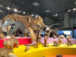 特別展「大哺乳類展３－わけてつなげて大行進」に投稿された画像（2024/4/27）