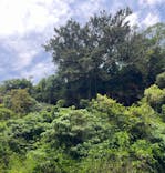 沖縄海うさぎ・海あしびに投稿された画像（2024/4/27）