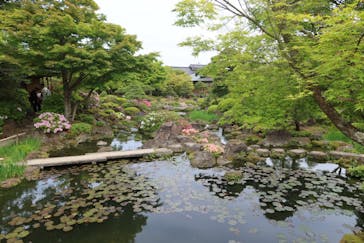 日本庭園　由志園に投稿された画像（2024/4/27）