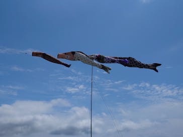 仙巌園に投稿された画像（2024/4/27）