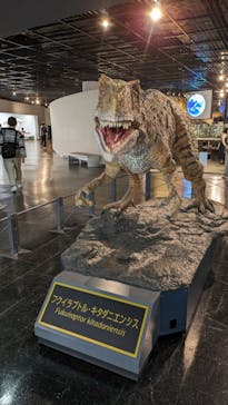 福井県立恐竜博物館に投稿された画像（2024/4/27）