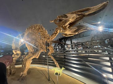 福井県立恐竜博物館に投稿された画像（2024/4/27）