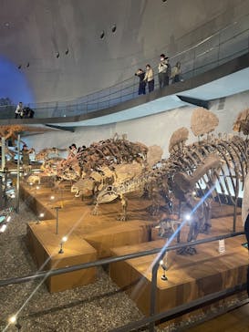 福井県立恐竜博物館に投稿された画像（2024/4/27）