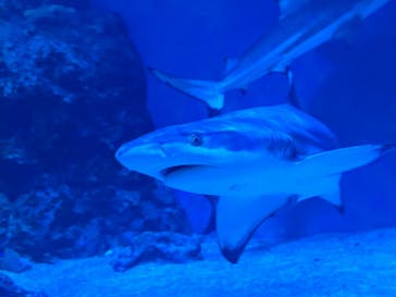 マクセル アクアパーク品川に投稿された画像（2024/4/27）