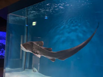 マクセル アクアパーク品川に投稿された画像（2024/4/27）