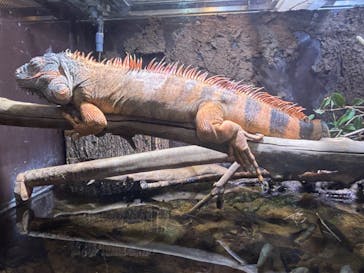 マクセル アクアパーク品川に投稿された画像（2024/4/27）