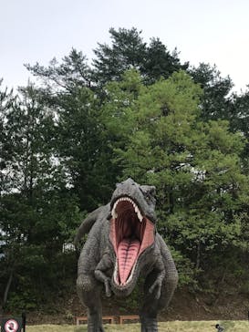福井県立恐竜博物館に投稿された画像（2024/4/27）