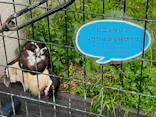 天王寺動物園に投稿された画像（2024/4/27）