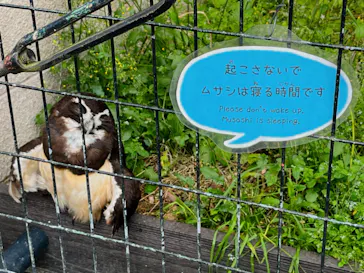 天王寺動物園に投稿された画像（2024/4/27）