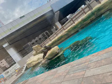 天王寺動物園に投稿された画像（2024/4/27）