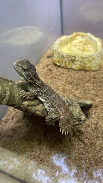 おきなわワールドに投稿された画像（2024/4/27）