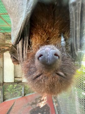 おきなわワールドに投稿された画像（2024/4/27）