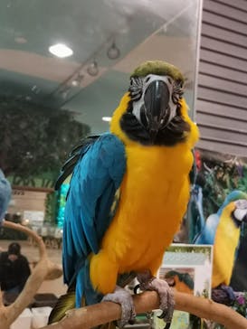 いきもの探検隊上尾に投稿された画像（2024/4/27）